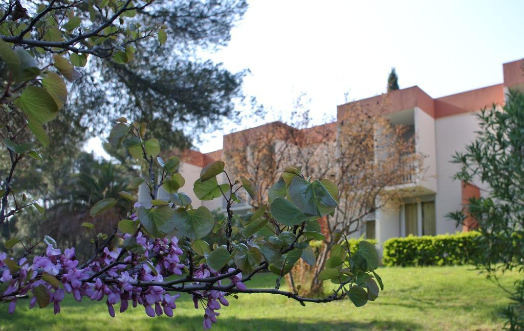 Апартаменты Le Domaine Des Oliviers Сен-Сир-сюр-Мер Экстерьер фото